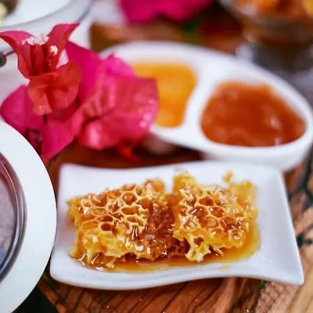 מלון Meli Suites, Thassos סקאלה פוטאמיאס